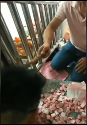 98d6a2edp00qc7g7y004sd2007z00bhg007z00bh.png 98d6a2edp00qc7g7y004sd2007z00bhg007z00bh.png